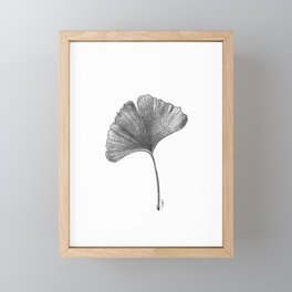 Ginko Leaf Framed Mini Art Print