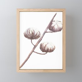 Cotton flower Framed Mini Art Print