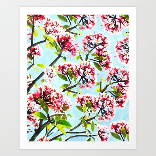 Frangipani #society6 #decor #buyart Art Print