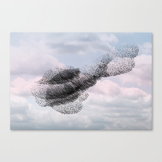 Swooping and looping version 2 Canvas Print