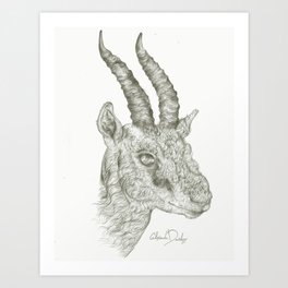 Gazelle  Art Print