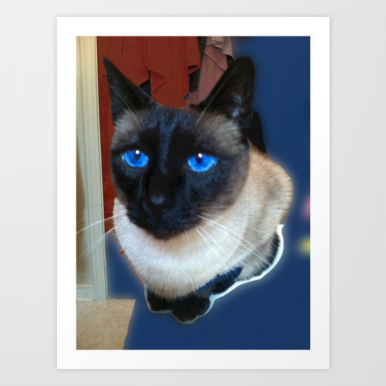 Bato Art Print