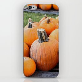 Pumpkin Patch  iPhone Skin