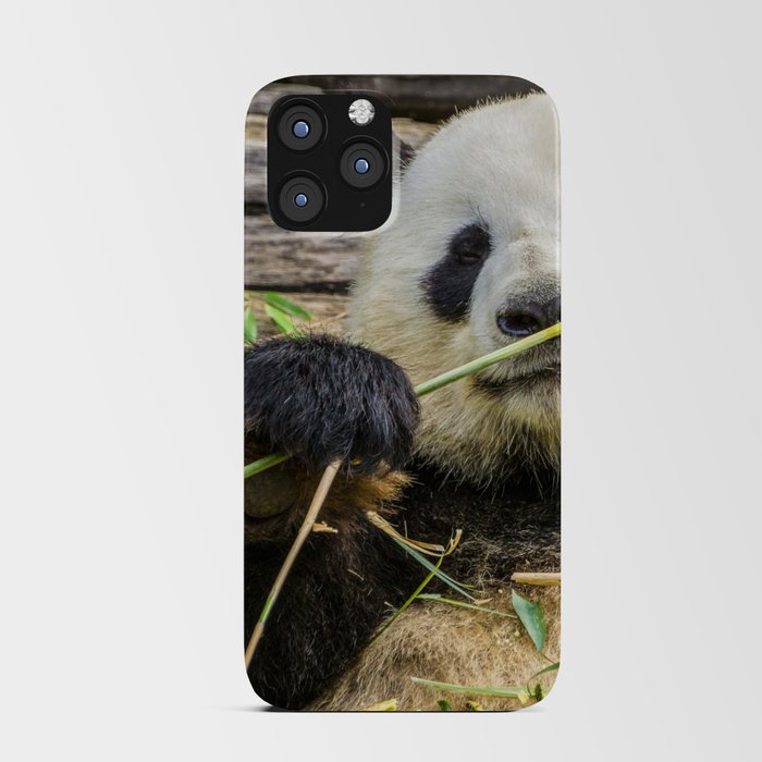 China Photography - Cute Panda Eating Grass And Plants iPhone Card Case