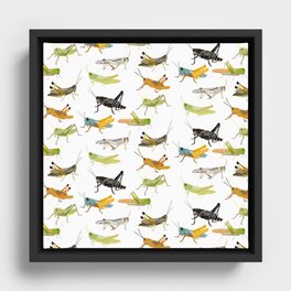 Grasshoppers Framed Canvas