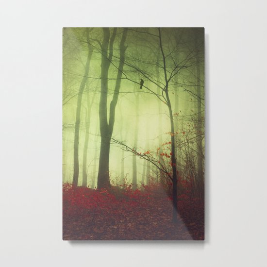 mysteriOns Metal Print