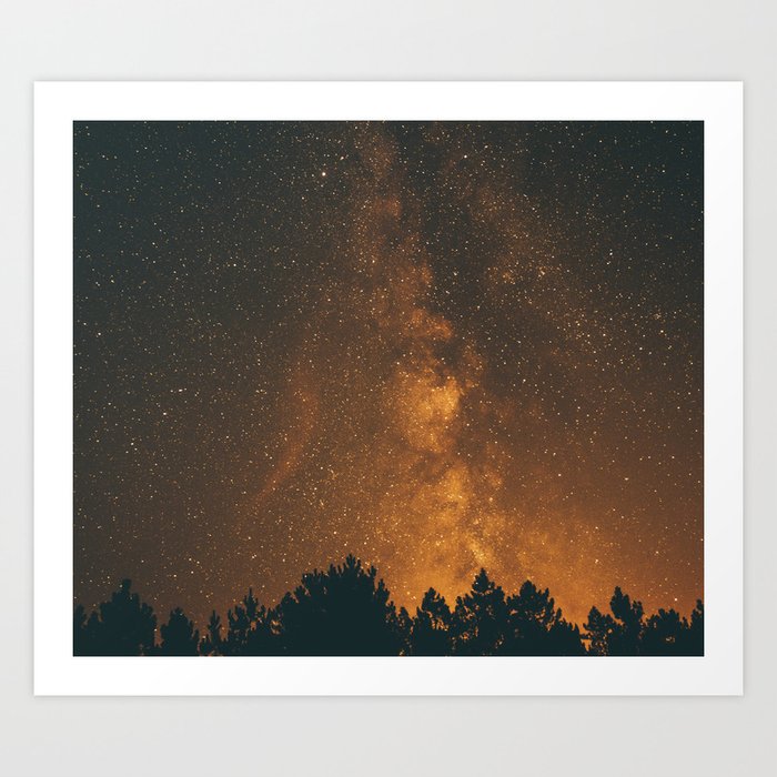 The Milky Way Forest Landscape Photography Starry Night Sky Photo Art Print By Cadinera