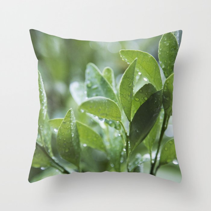 leaves Throw Pillow