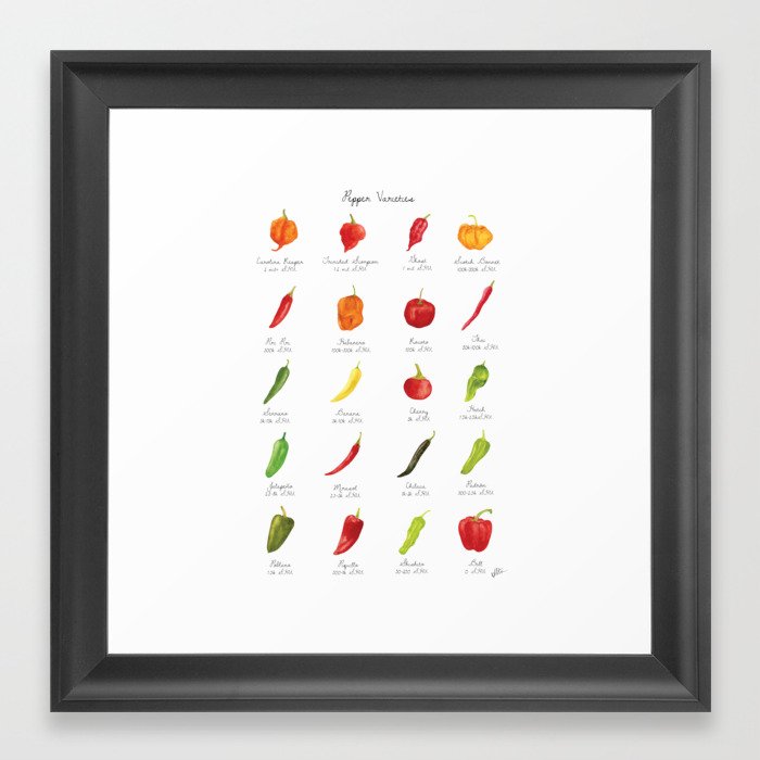 Watercolor Pepper Varieties Framed Art Print