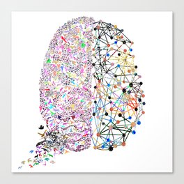 the Brain Canvas Print