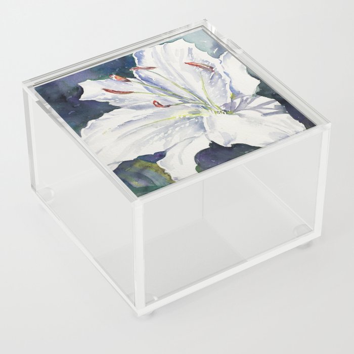 Casablanca Lily- White Lily still life Watercolor Painting  Acrylic Box