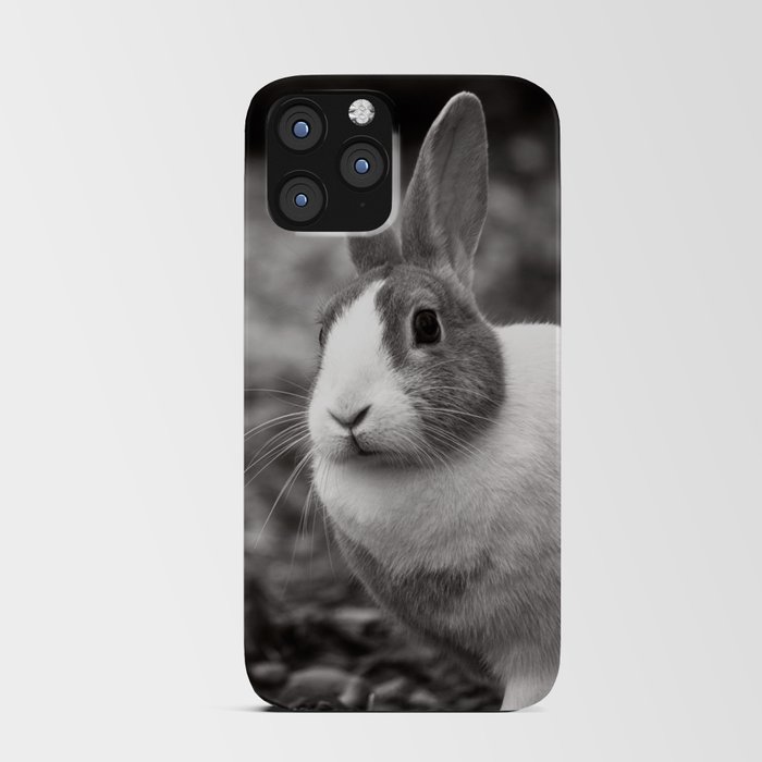 Bunny Buddies iPhone Card Case