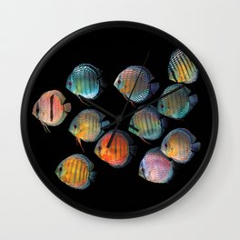 Wild discus fish Wall Clock