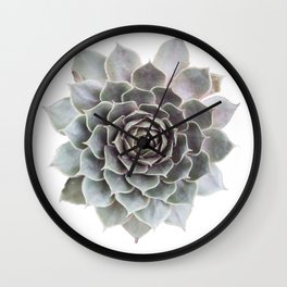 Succulent burst Wall Clock