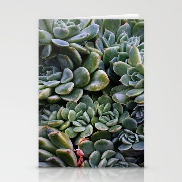 succulents Stationery Cards