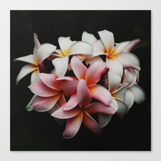 Flowers In The Dark Canvas Print