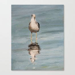seagull two Canvas Print