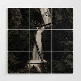 Murhut Falls Waterfall in Black and White (Washington) Wood Wall Art