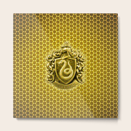 Slytherin Metal Print