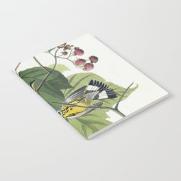 Black and Yellow Warblers Notebook