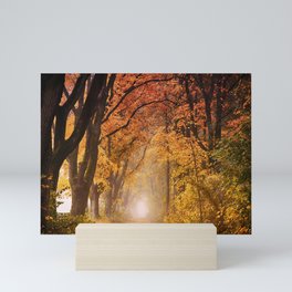 Autumn Fall Forest Path -  Nature Landscape Photography Mini Art Print
