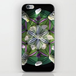 Spring Growth Grid // ⁠Crystal Cactus Grid iPhone Skin