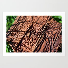 Textured Wood I Art Print