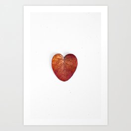 Red Heart Leaf Art Print