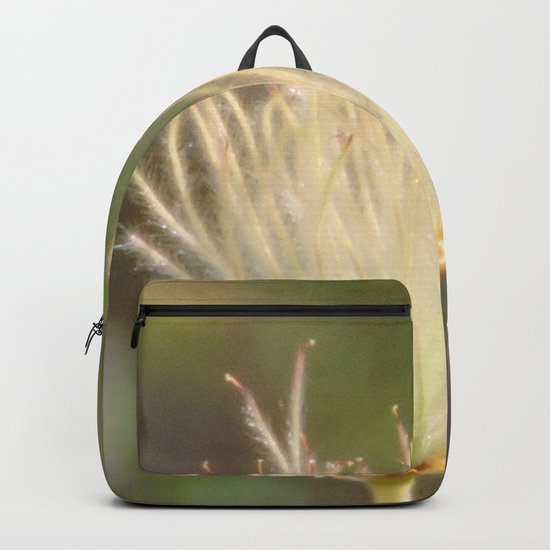 Apache Plume Backpack