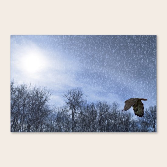 Into The Storm Canvas Print