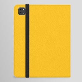 Beacon iPad Folio Case