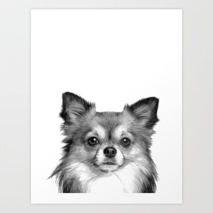 Black And White Chihuahua Art Print By Alemi Society6 Black And White Chihuahua Art Print By Alemi Society6