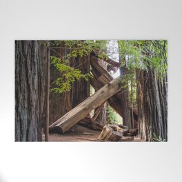 Redwoods National Park Prints Welcome Mat