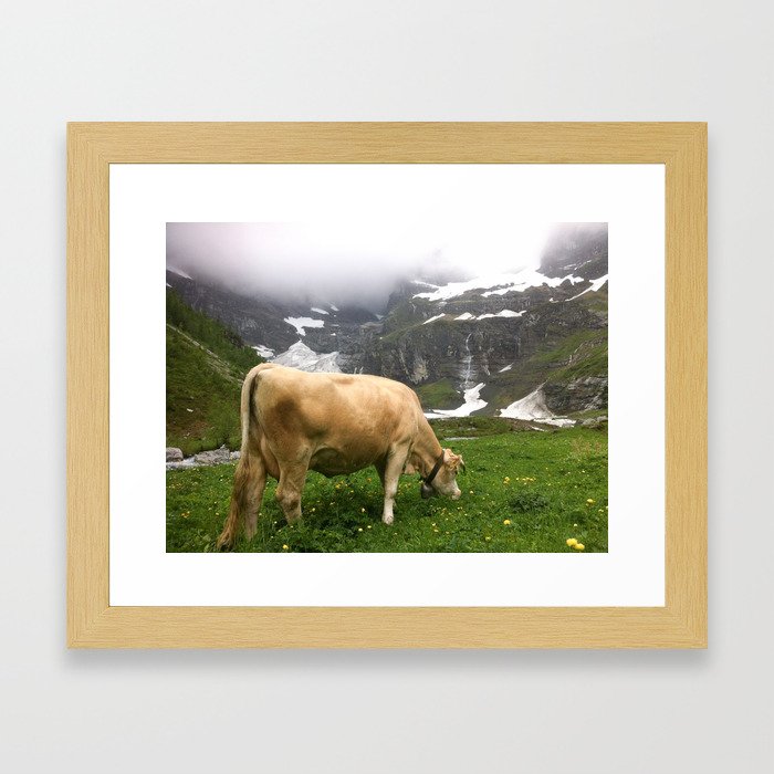 COW Framed Art Print