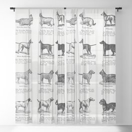 Dog Breeds (The Open Door to Independence) Sheer Curtain