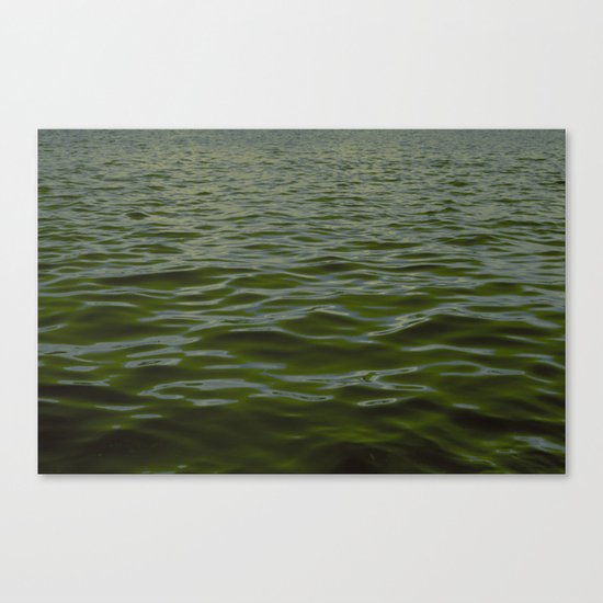 Water 4 Canvas Print