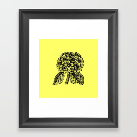 Yellow Hydrangea Framed Art Print