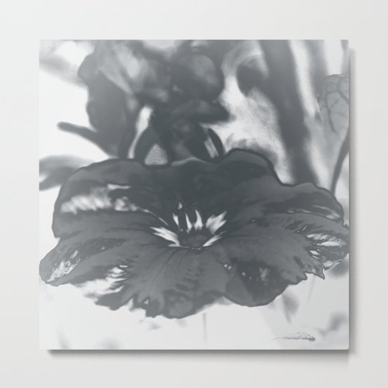 Bloom in Platinum Tone Metal Print