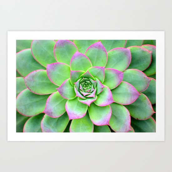 The Longest Bloom Art Print