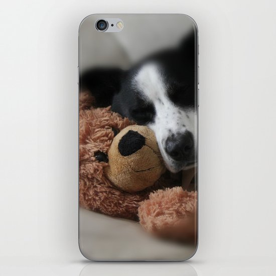 A Dog and his Bear iPhone & iPod Skin