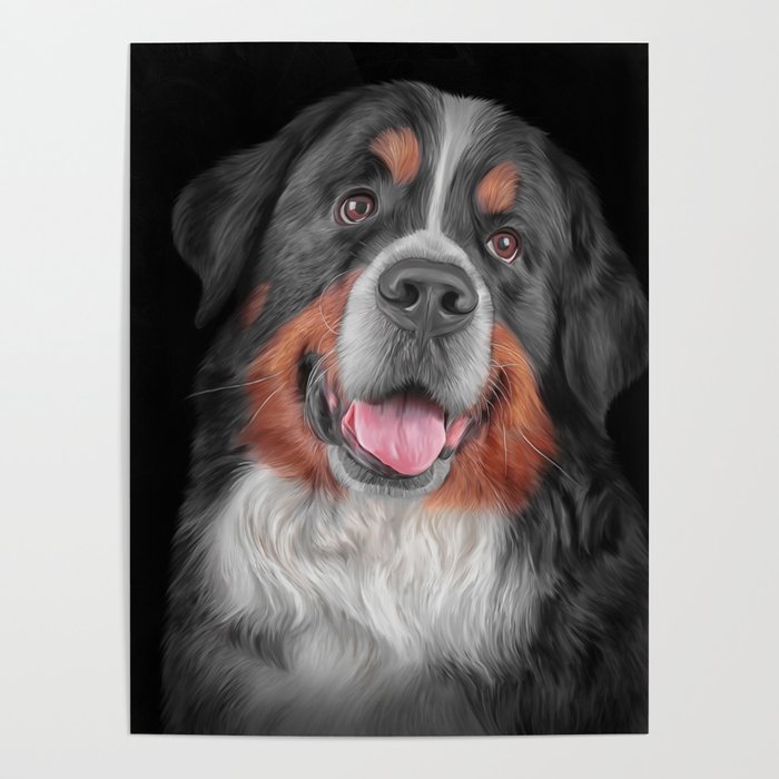 Drawing Bernese Mountain Dog 5 Poster By Bonidog Society6 The place for bernese mountain dog, the bernese mountain dog adoption, expert the bernese mountain dog advice. drawing bernese mountain dog 5 poster by bonidog