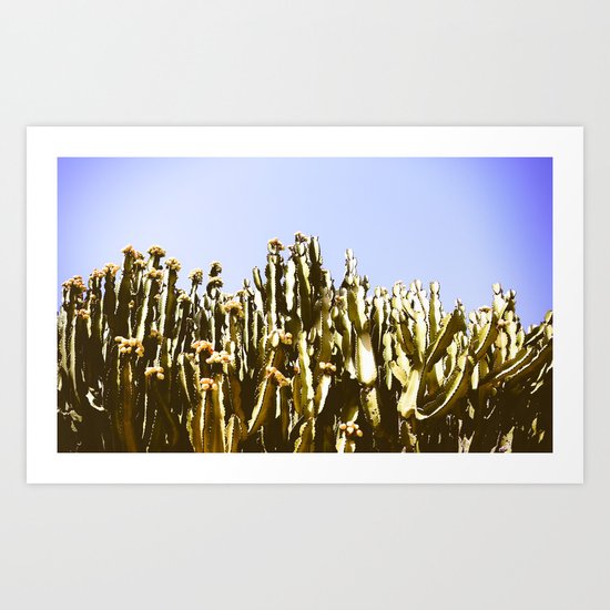 Sticky Cacti Art Print
