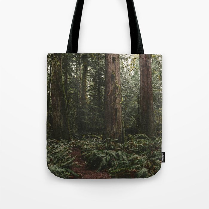 Old growth forest Tote Bag