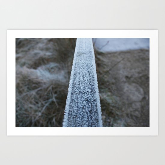Frosted Art Print