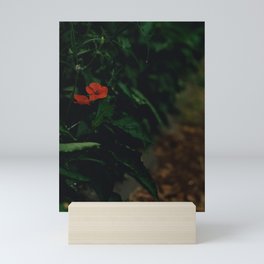Red flower Mini Art Print