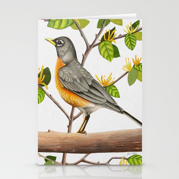 American Robin Stationery Cards