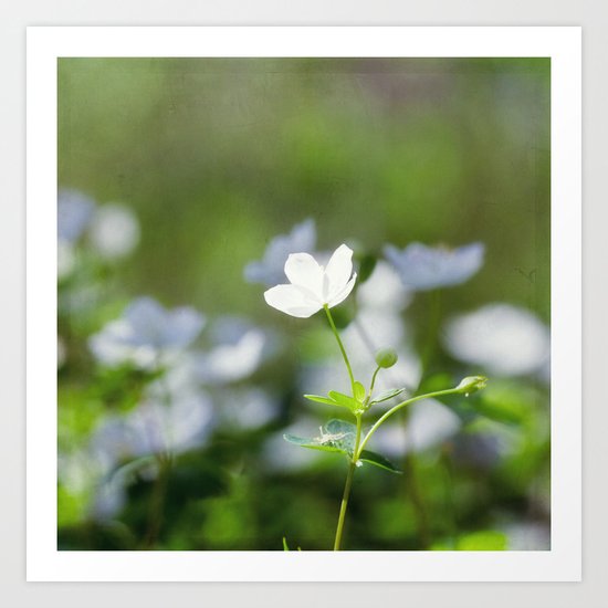 the dance Art Print