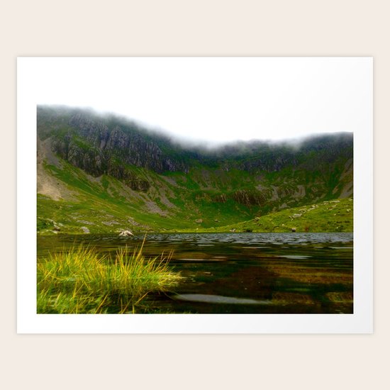 Back Garden Art Print