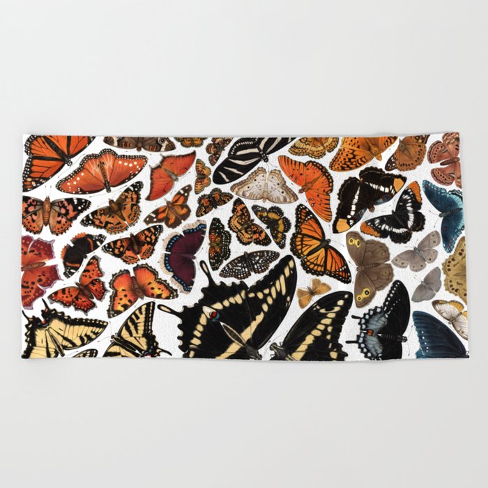 Butterflies of North America Beach Towel