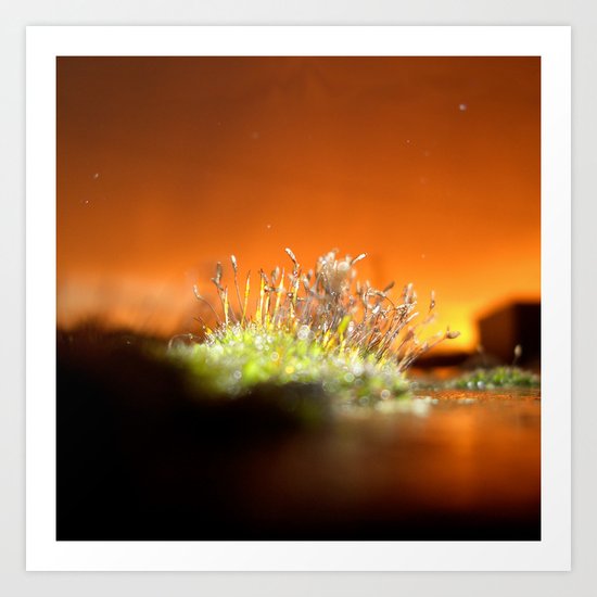 Face away from the oncoming storm Art Print